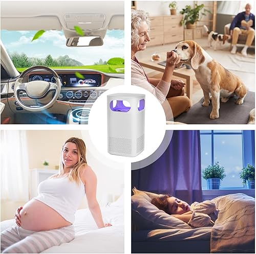 Purificateur d'air rechargeable USB - Nettoyer d'air portable silencieux pour la maison et les voyages | Environnement paisible Filtre HEPA compact pour animaux de compagnie, fumée, poussière et odeur - Nail Gallerys