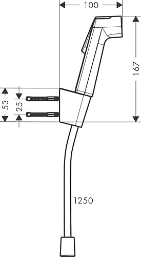 hansgrohe 29238140 Bidette Handbrause 1jet S EcoSmart mit Porter S Brausehalter und Brauseschlauch 125 cm Douchette, Bronze brossé, rund - Nail Gallerys