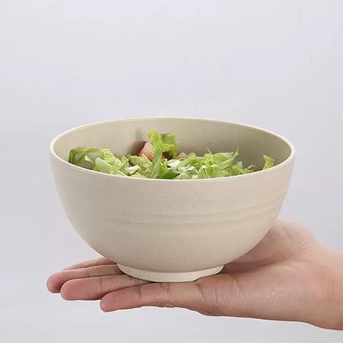 Rongxze 5 Pièces Bols Plastique, Bols de Céréales, Légers Bol Petit Dejeuner, Bol à Soupe, Reutilisable Saladier Plastique pour Enfants et Grands, NO BPA - Nail Gallerys