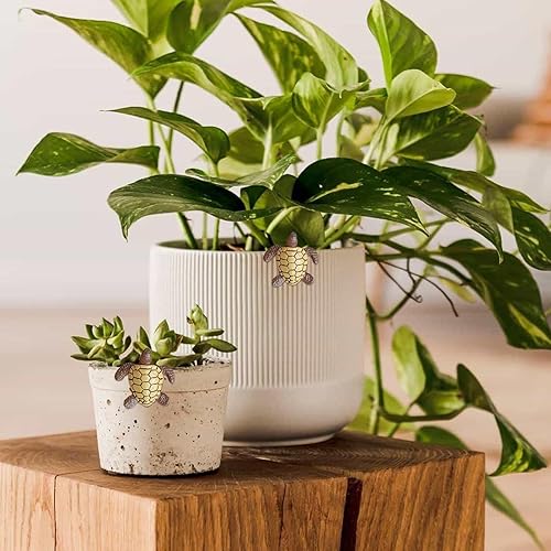 Figurines de Tortues Miniatures, décoration de Petite,Figurine de d’Aquarium, Petits Animaux en résine 3 pièces | Décor de Paysage de Jardin féerique, décoration de en Pot pour Aquarium, - Nail Gallerys