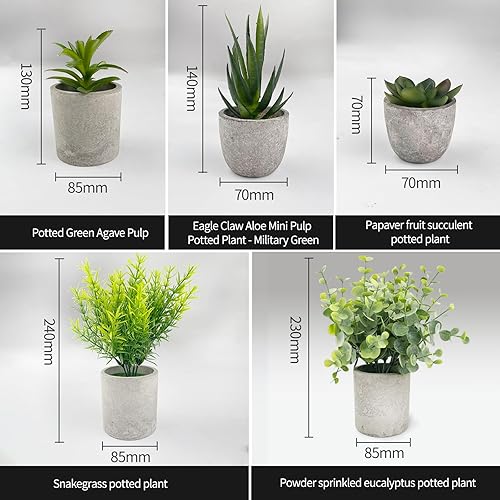 TERRARIDE 5 Pieces Plantes Artificielle, Mini Plantes artificielles Interieur Serpentine, Agave succulentes, Eucalyptus globulus, Griffe d'aigle Aloe Vera, pour Chambre Bureau Decoration - Nail Gallerys