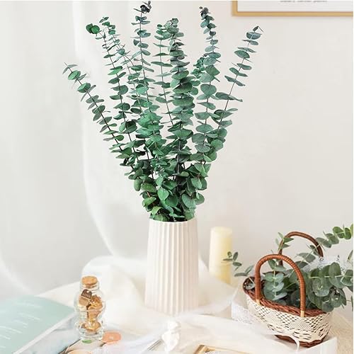 12 Pièces 45cm Eucalyptus Seches Naturel d'Eucalyptus Fleurs Séchées pour Mariage Arrangement Floral Home Deco - Nail Gallerys