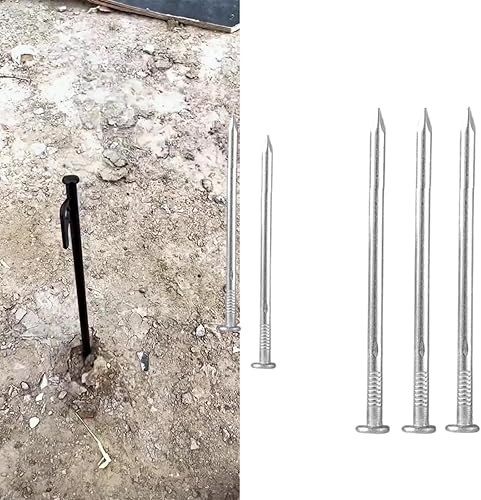Clous en béton résistants à la corrosion assortis pour accrocher des tableaux et menuiserie Design robuste en acier inoxydable - Nail Gallerys