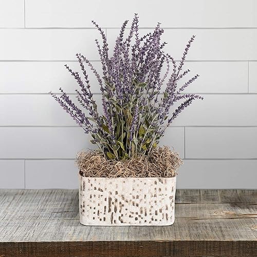 FloraCraft Spanish Moss 4oz-Natural -SM424 - Nail Gallerys