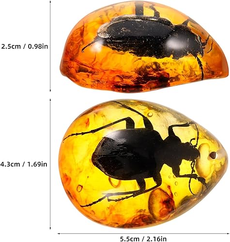 Uonlytech pendentif ambre échantillon de résine ambre décor de spécimen en forme de scarabée artisanat en ambre en forme de scarabée insectes en résine jouets d'insectes Ambre coléoptère DIY - Nail Gallerys