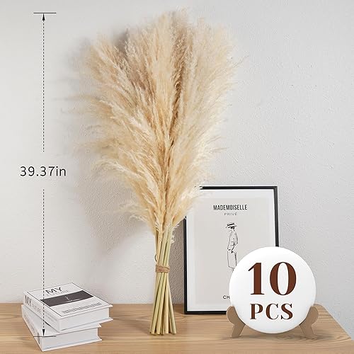 Lot de 10 Pampa XXL – Grandes Pampas séchées Decoration en Fleurs séchées pour Style bohème, idéal pour Salon, Chambre, Salle à Manger, Mariages et hôtels - Nail Gallerys