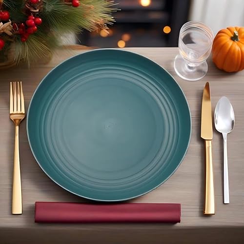 LJYING Lot de 4 assiettes plates en plastique de 22,9 cm, réutilisables et incassables, sans BPA, passent au lave-vaisselle et au micro-ondes, légères, couleurs mélangées (couleur foncée) - Nail Gallerys