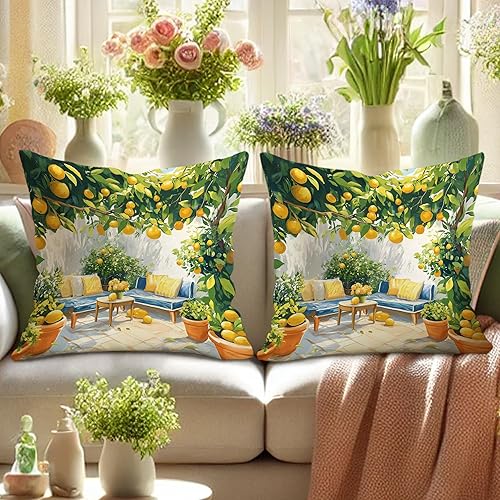 Lot de 2 housses de coussin décoratives sur le thème du citron et de la ferme, housses de coussin décoratives d'été et d'extérieur pour canapé, décoration d'intérieur, 40,6 x 40,6 cm, jaune - Nail Gallerys
