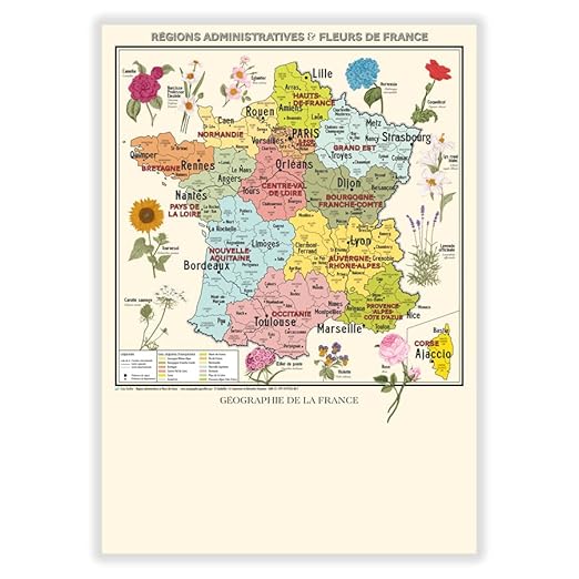 Carte de France Vintage - Régions administratives et fleurs de France - Affiche A1 (livrée pliée) - Nail Gallerys