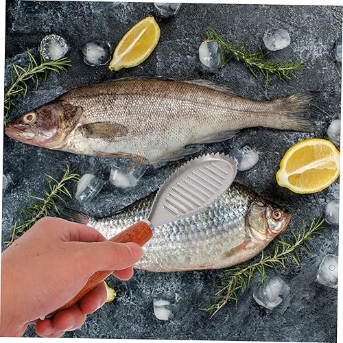 HEMOTON Écailleur De Poisson Raclette à Verre Râpe à Peau De Poisson Éplucheur D'écailles De Poisson Brosse à Poisson Détartreur Professionnel De Peau De Poisson Dédié en Bois Japon - Nail Gallerys