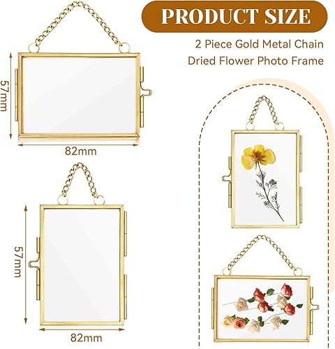Zernblend Cadres en Verre Double pour Fleurs Pressées, Cadre Photo Miniature en Laiton 2x3 Pouces, Cadre Photo Mural avec Chaîne pour Plantes, Cadre Photo Doré, Mini Cadre Photo - Nail Gallerys