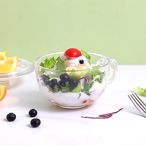 Bol à soupe en verre avec poignée, petits bols transparents avec couvercle en verre Oatmeal Bowls Breakfast Bowls Microwave Safe Glassware Yogourt Bowl pour dessert pâtes riz 550 ml - Nail Gallerys