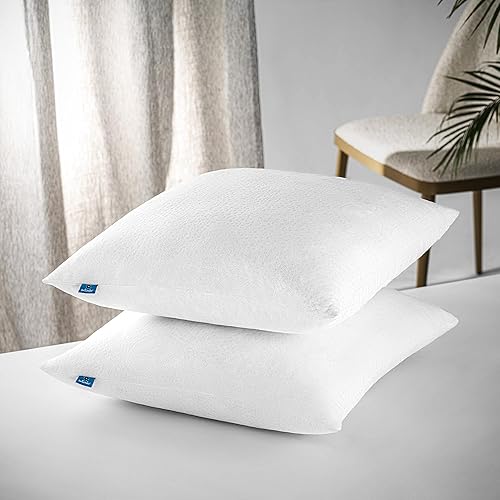 NATURALEX - Lot de 2 Oreillers 60x60 cm - Tissu Aloe-Vera - Soulagement de la Pression - Coussin Doux et Rafraîchissant - Rembourrage Copeaux de Mousse HR - Maintien Souple - Nail Gallerys