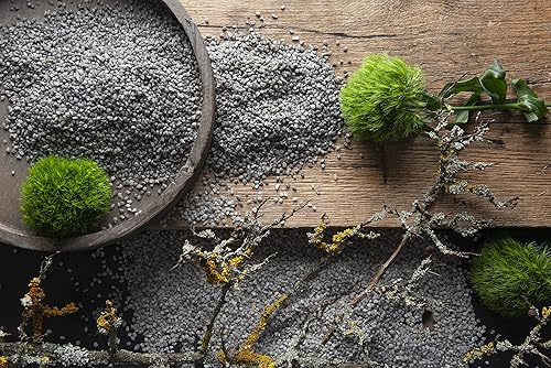 DEKOMARKET Granulés décoratifs décoratifs 2-3 mm, petites pierres décoratives, 0,5 kg (noir) - Nail Gallerys