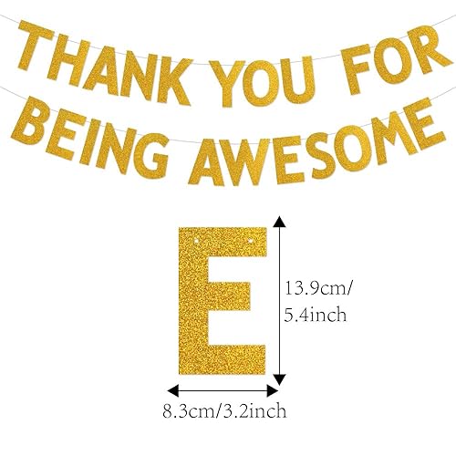Bannière « Thank You for Being Awesome » - Décorations de remise de diplôme 2024 sur le thème de la retraite - Fournitures de fête - Paillettes dorées - Nail Gallerys