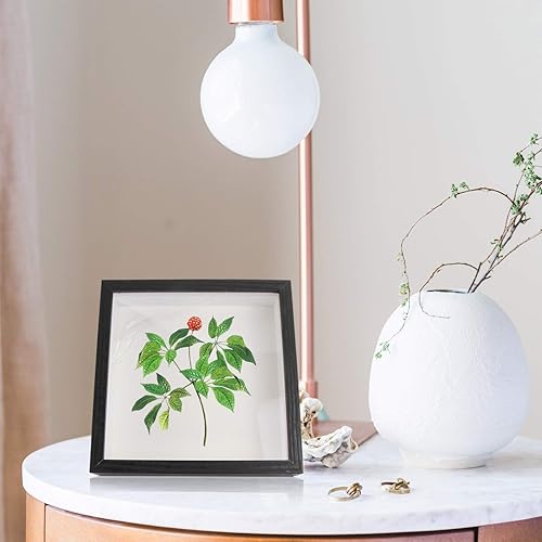 IMIKEYA Ombre Boîte Cadre 8 inch Plantes Spécimen Affichage Photo Shadow Box Cadre à Photos de Vitrine Billets Décerne des Médailles Insectes Maison Bureau Décor - Nail Gallerys