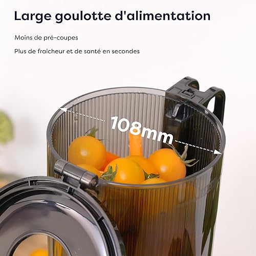 Ciarra CBSJ046-G Extracteur de Jus de Fruits et Légumes à Pression Avec Baie de Remplissage XXL de 108 mm, 1.2L Très Grande Capacité Slowe Juicer Arrêt Automatique Fonction Marche Arrière Sans BPA - Nail Gallerys