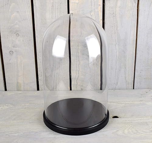 EMH Cloche de présentation dôme en verre Noir Hauteur 16 x 10 cm - Nail Gallerys
