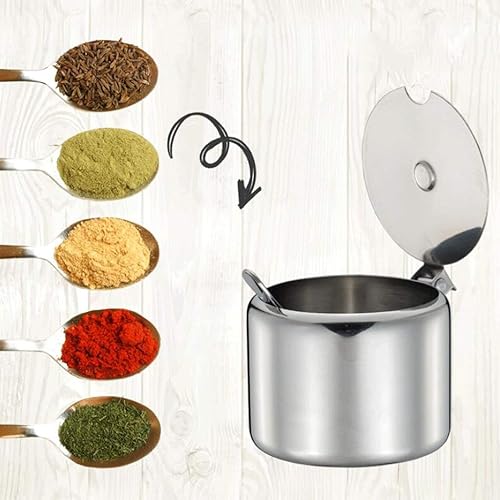 Sucrier en acier inoxydable pour condiments et assaisonnement avec cuillère Argenté 285 ml Portable et utile Facile à utiliser - Nail Gallerys