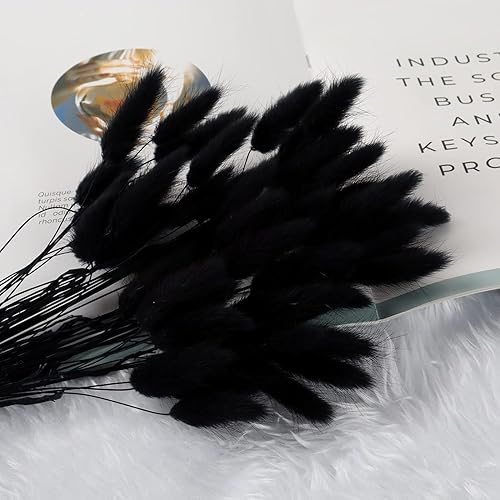 Queue de Lapin Fleur Sechee,Fleurs Séchées Naturelles Herbe de Pampa 60 Bouquet de Fleurs Séchées Roseau de Pampa Herbe pour Chambre à Coucher Intérieur la Décoration de la Maison de Mariage,Bleu - Nail Gallerys