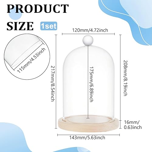 BENECREAT 143x217 mm Dôme D'Affichage en Verre, dôme de Cloche avec Base, Dôme Transparent Anti-Poussière avec Poignée, Pièce Maîtresse de Pot de Cloche, Vitrine pour Spécimens de Plantes, Décor - Nail Gallerys
