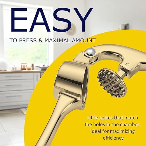 Presse-ail en acier inoxydable de qualité professionnelle - Hachoir à ail et éplucheur - Facile à nettoyer, passe au lave-vaisselle et antirouille (doré) - Nail Gallerys