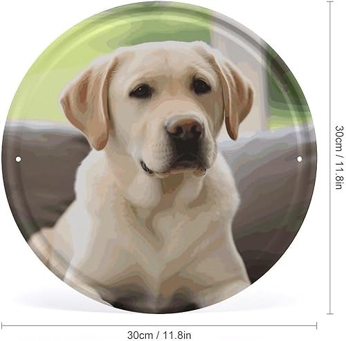 Plaque en métal vintage avec motif labrador mignon - Panneau de jardin amusant pour l'extérieur - Panneau de grotte pour homme - Décoration murale rétro pour garage - 30 x 30 cm - Nail Gallerys