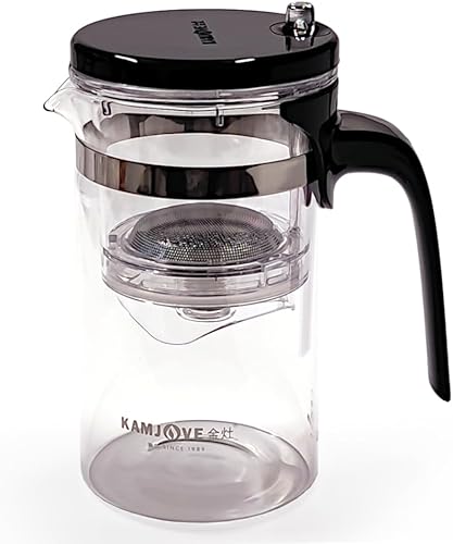 Théière 500 ml avec filtre en verre borosilicate soufflé à la bouche Service à thé tout-en-un pour la préparation du thé et du café Kungfu avec insert amovible - Nail Gallerys
