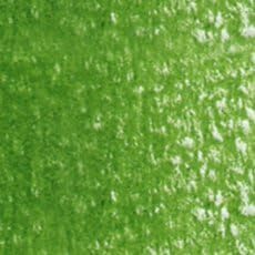 Colored pencil artist Holbein OP Sap Green -262 - Nail Gallerys