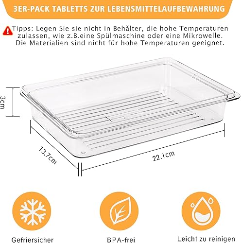 CASDUCT Lot de 3 boîtes à charcuterie en PET avec couvercle - Boîtes de conservation pour réfrigérateur - Boîtes de conservation avec couvercle - Boîtes hermétiques - Empilables avec étiquettes - Nail Gallerys