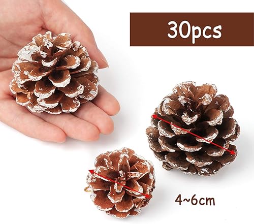 ilauke Lot de 30 Pommes de Pin de Couleur Blanc Séchées, 4 à 6 cm Cônes de Pin Naturel Décoration à Suspendre pour Arbre de Noël Sapin de Noël Christmas Decor - Nail Gallerys