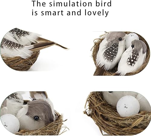 Liummrcy Oiseaux à Plumes réalistes, Oiseaux artisanaux artificiels, décoration de Jardin à Maison Oiseau réaliste Artisanal avec œuf de nidi - Nail Gallerys