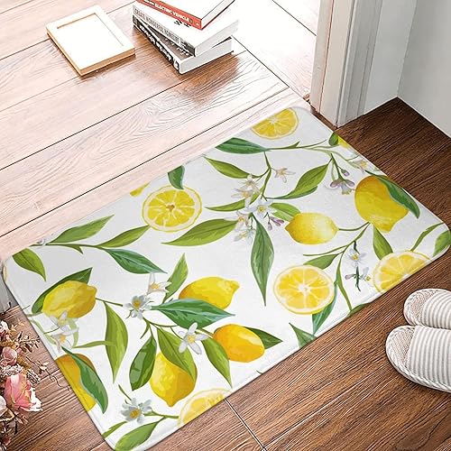 Yyoretp Paillasson antidérapant ultra absorbant imprimé citrons tropicaux frais pour intérieur et extérieur, 60 x 40 cm - Nail Gallerys