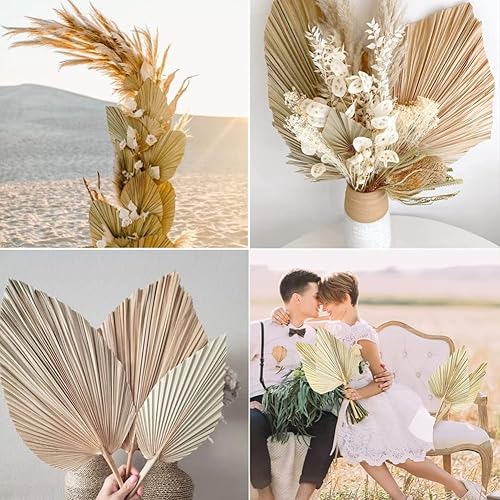 Xbsduih 5Pcs 18 Pouces Naturel Garni Palm Spear Tropical Palm Leaves Fans Boho Wedding Decor DéCoration HawaïEnne - Nail Gallerys