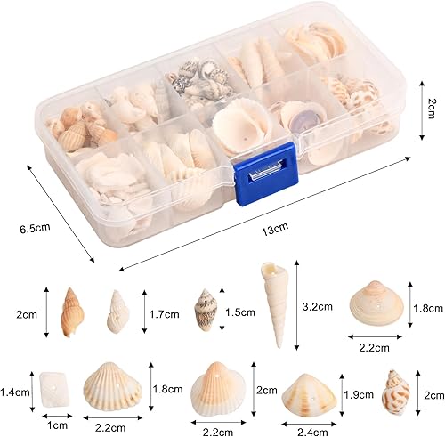 Wisebom 1 Set Océan Spirale Coquillages Coquillages Mixtes Petits Coquillages Percés Perles de Coquillage Mixte Coquillage Naturel Spirale Perles pour la Fabrication de Bijoux - Nail Gallerys