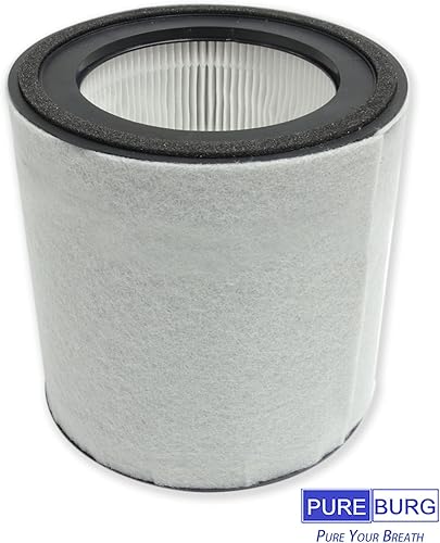 PUREBURG Ensemble de filtres HEPA de rechange compatibles avec le purificateur d'air TruSens Z-3000 Z3000 pour grande pièce, filtration H13 en 3 étapes, préfiltre à charbon actif haute efficacité - Nail Gallerys