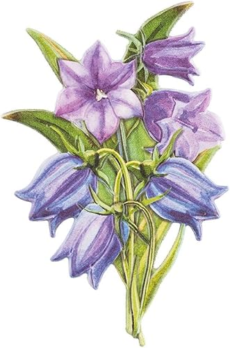 Ideen mit Herz - Feuille d'autocollants - 3D - En relief - Gaufrage de qualité supérieure avec effet 3D - Feuille DIN A4 avec différents motifs (muguet 01) - Nail Gallerys