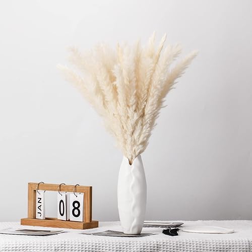 Herbe de la Pampa Naturelle 44cm, 30PCS Bouquet Fleurs Séchées, Pampa Séchées Blanc Naturelle Décoration pour Boho Arrangements, Mariage, Chambre, Anniversaire - Nail Gallerys