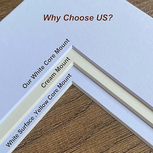 LOKCASA Lot de 10 passe-partout blancs de 20,3 x 20,3 cm pour image de 12,7 x 12,7 cm - Nail Gallerys