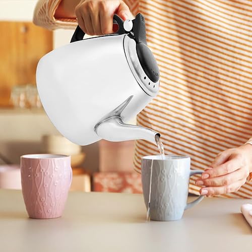 Théière en Acier Inoxydable, Bouilloire Sur Plaque de Cuisson Bouilloires à Café Domestique avec Poignée Résistante Chaleur Théières Eau Chaude pour Cuisine Cafétéria Hôtel Restauran Bureau(1.2L) - Nail Gallerys