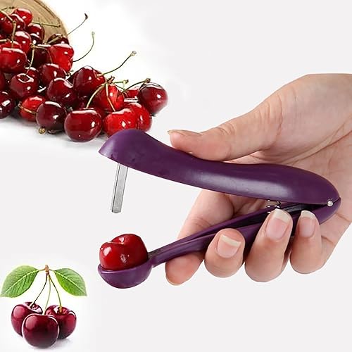 Dénoyauteur de cerises | Dénoyauteur portable pour et cerises | Vide-fruits multifonction pour une utilisation domestique | Idéal pour les cerises, les jujubes et les dattes rouges | - Nail Gallerys