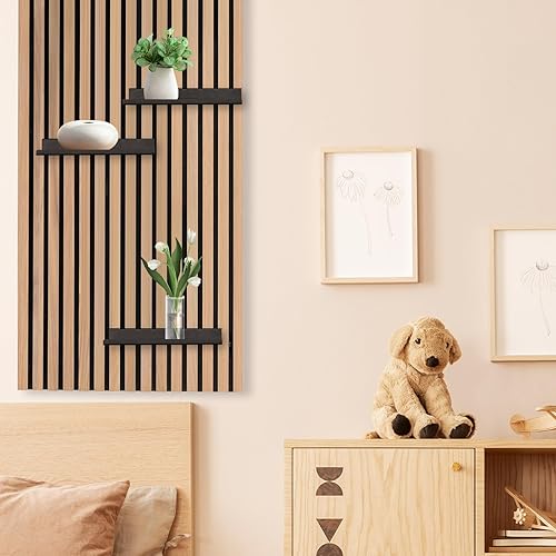 XQZMD Organisateur mural pour panneaux acoustiques - Étagère murale flottante en métal pour cuisine, bureau - Montage sans perçage - Noir A - 25 x 10 cm - Nail Gallerys