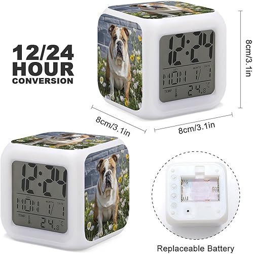 JTREWBV Réveil lumineux - Imprimé bouledogue amusant - Réveil de voyage à piles - Réveil portable pour voyage - Nail Gallerys
