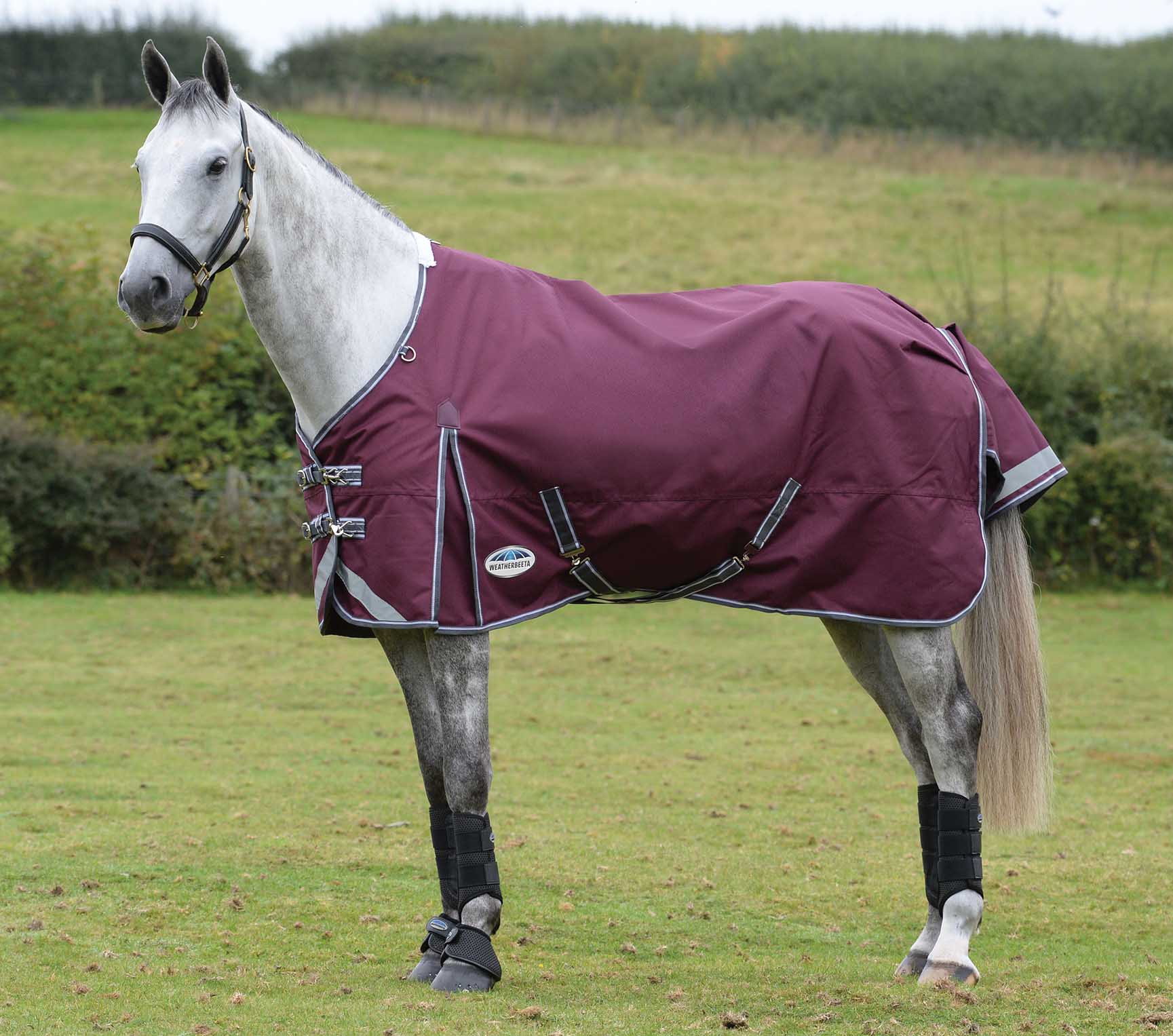 ComFITec Plus Dynamic II Standard Neck Medium Horse Blanket - Nail Gallerys