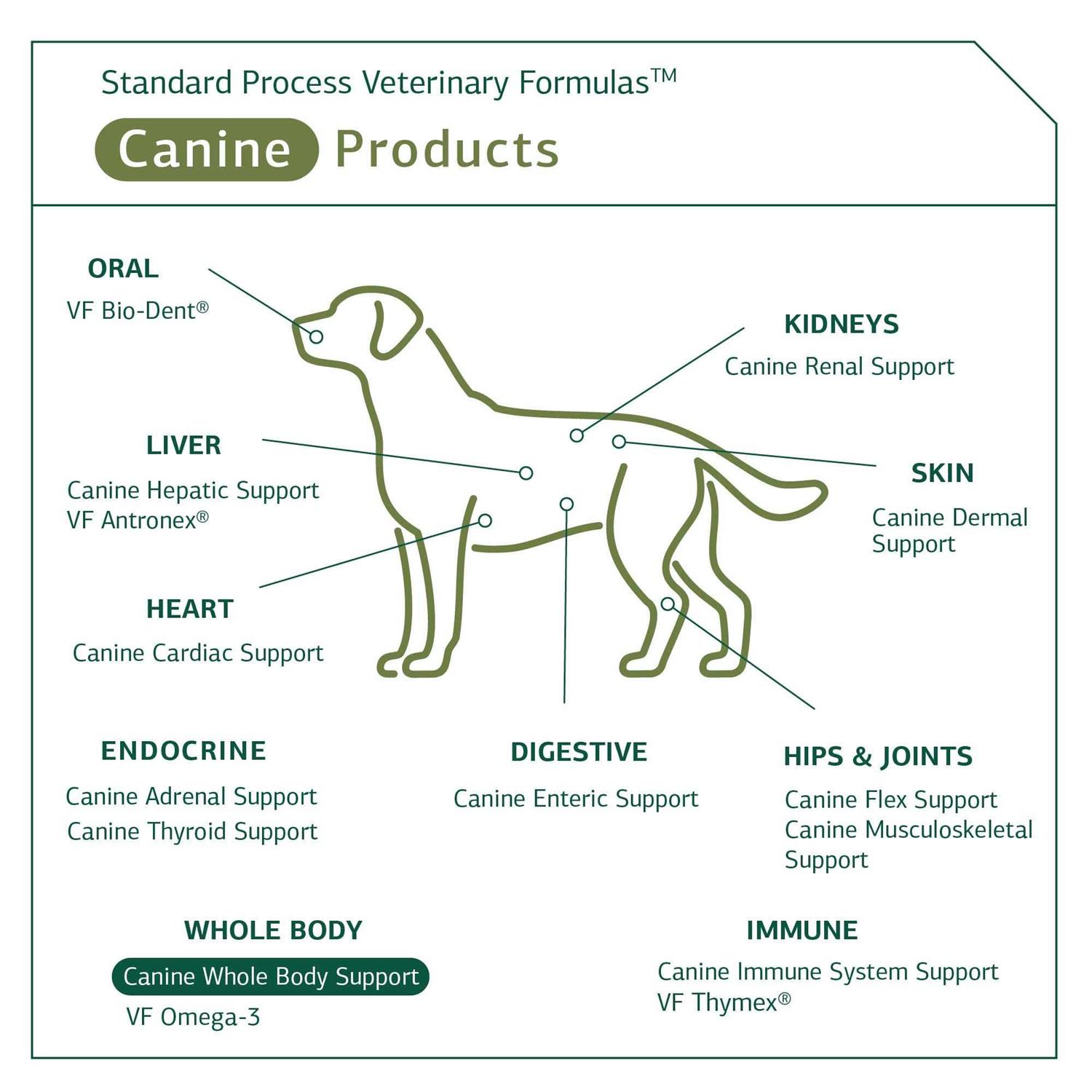 Standard Process Canine Whole Body Support - Nail Gallerys