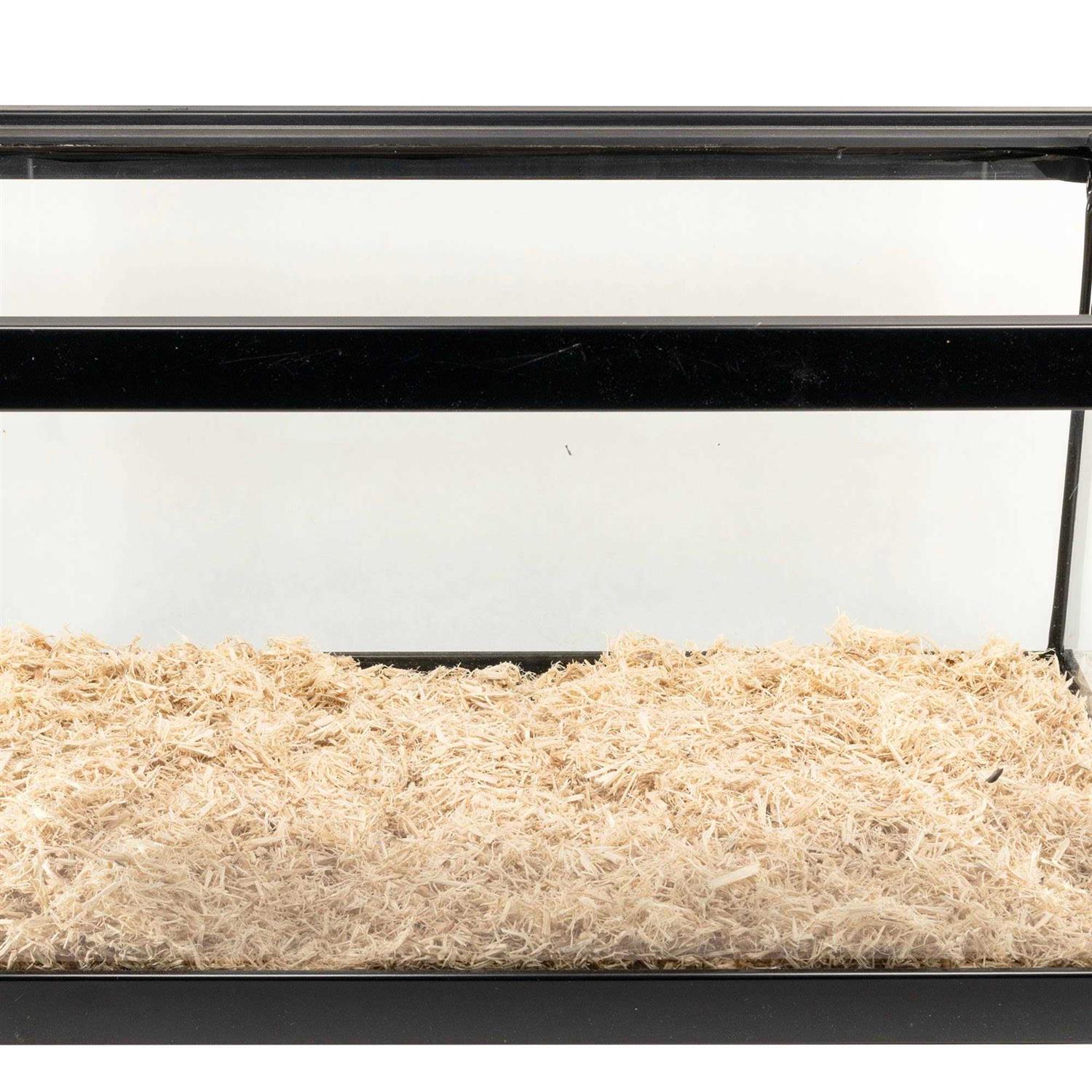 Zoo Med Aspen Snake Bedding - Nail Gallerys