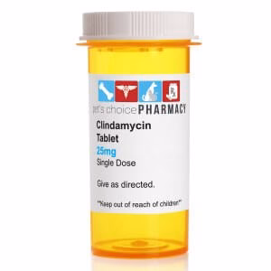 Rx Clindamycin (Generic) Tablets for Dogs - Nail Gallerys