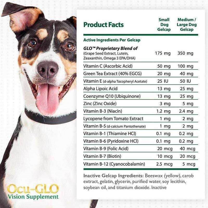 Ocu-gLO for Medium to Large Dogs - Nail Gallerys