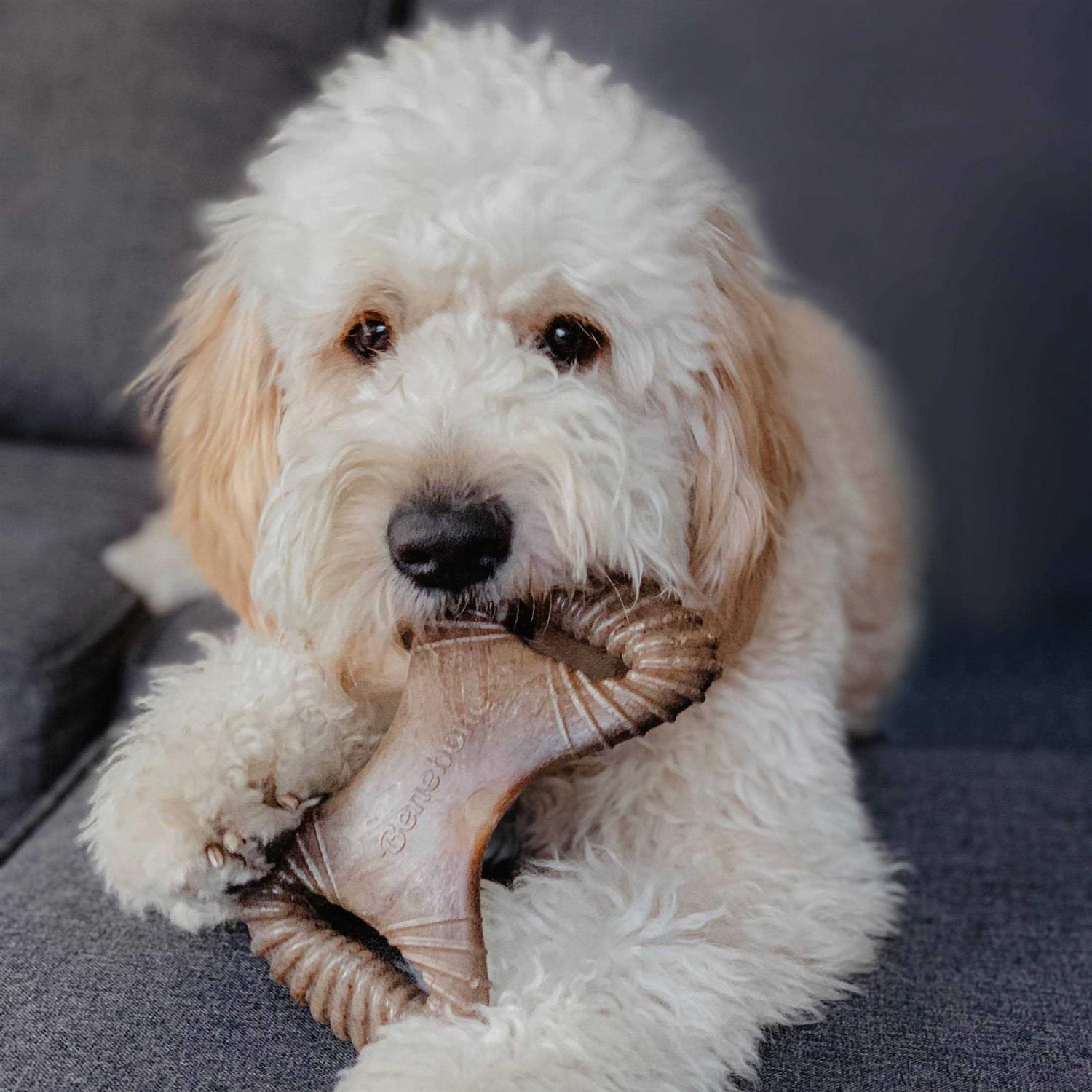 Benebone Dental Chew Dog Toy - Nail Gallerys