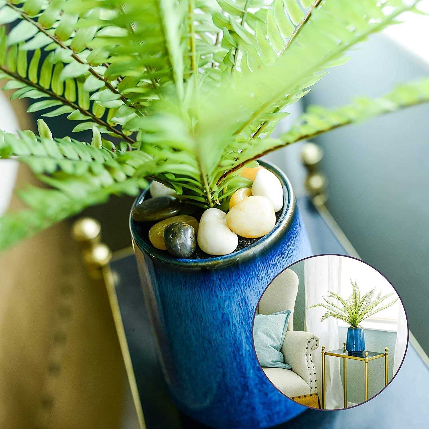 Galashield Pebbles for Plants River Rocks Decorative Stones for Vases - Nail Gallerys